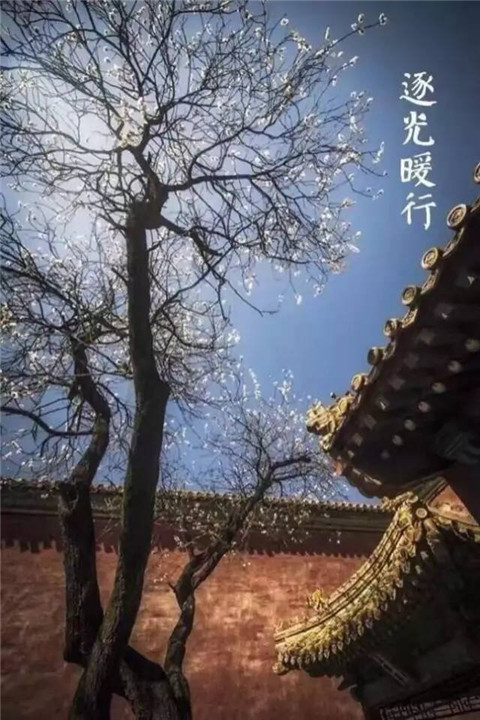 20161228160925296.jpg IMG_0612.JPG