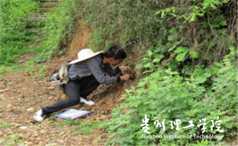 20160426150518213.png 1.png