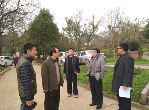 20160113150700119.jpg 1.jpg